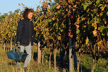 2004 - Nouveau fermage Soulignac 2004 - Nouveau fermage Soulignac