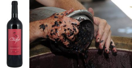 2015 - Vinification Chapô sans sulfites ajoutés 2015 - Vinification Chapô sans sulfites ajoutés