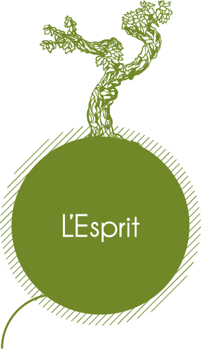 bouton_esprit2.png bouton_esprit2.png