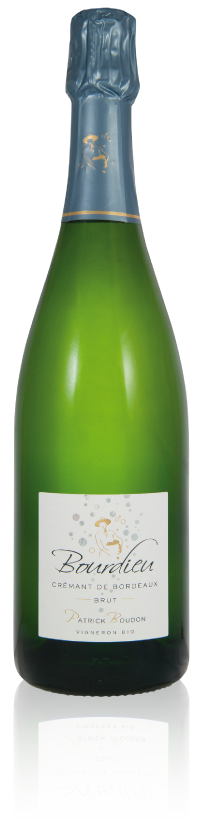 Bourdieu « Brut » Bourdieu « Brut »